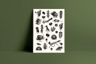 Prints and photographs