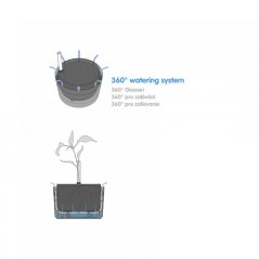 Flower hanging pot Berberis | PLASTIA