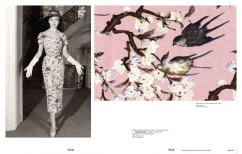 Kniha THE MAD SILKMAN