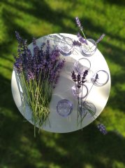 Glass OVO | SMOLÍKOVÁ KATEŘINA