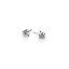 Earrings RAISINS mini granules | EVA RŮŽIČKOVÁ