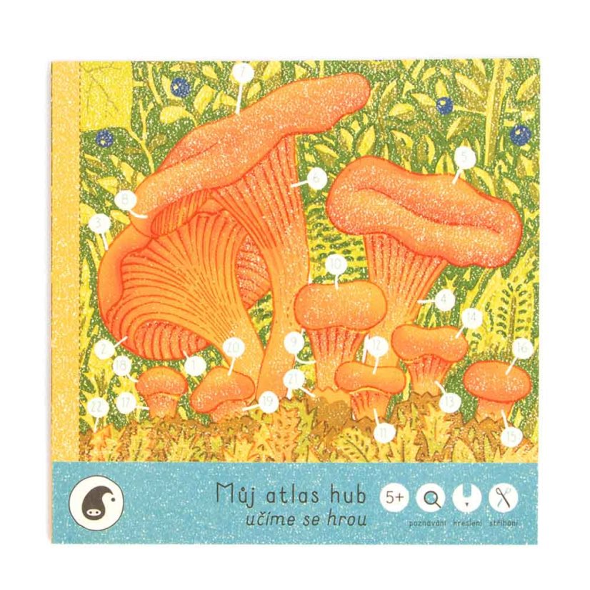 Workbook MY MUSHROOM CATALOG | PIPASIK