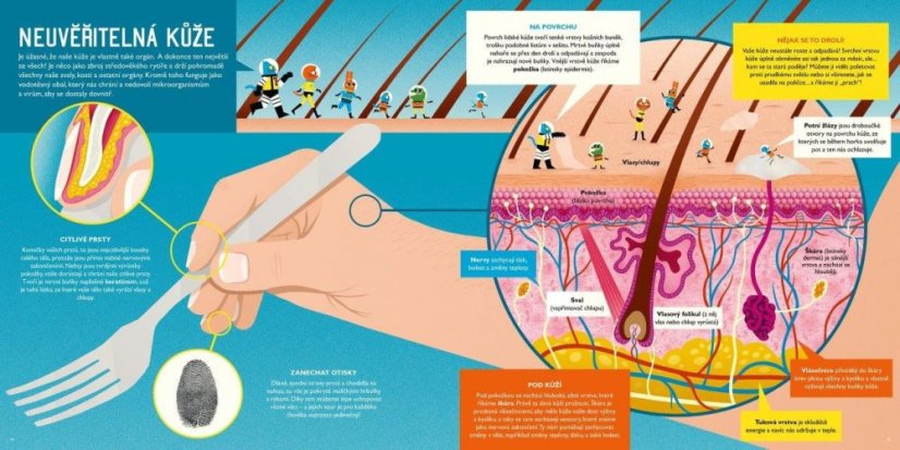 Book Prof. Astro Cat: CRISSCROSS THROUGH THE HUMAN BODY