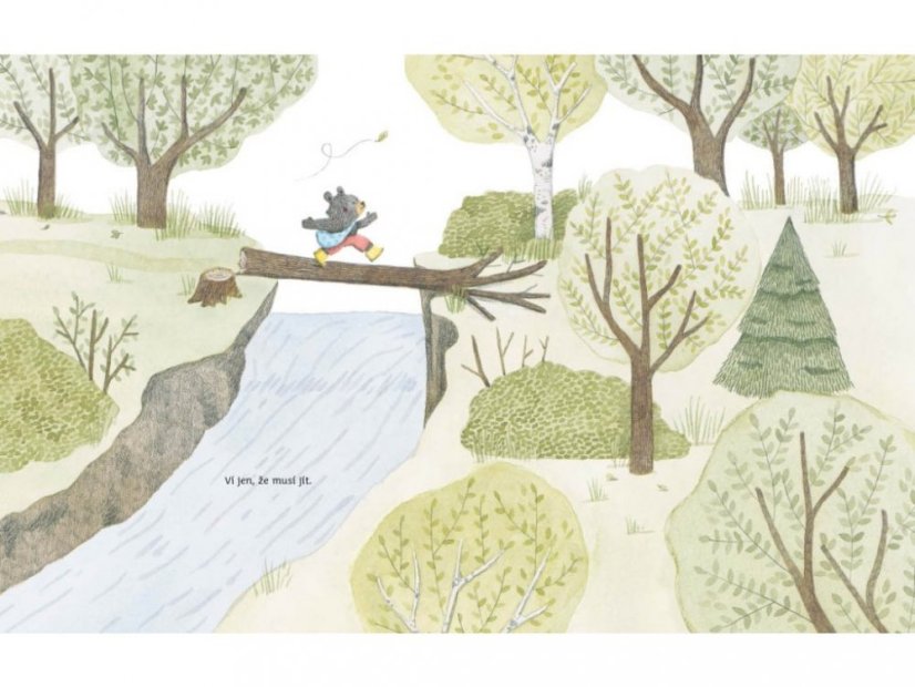 Book BEAR AND WIND WHISPERING