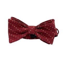 Motýlek pánský | ALEŠ RAMOVŠ