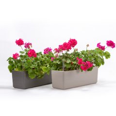 Self-watering flower box Berberis | PLASTIA