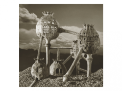 Book THE LITTLE MAN´S GREAT JOURNEY | MEANDER