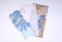 Greeting card HYDRANGEA blue | PORIGAMI