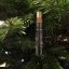 Gift AMPOULE | deelive
