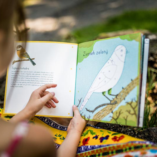 Notebook MEET THE BIRDS | PIPASIK
