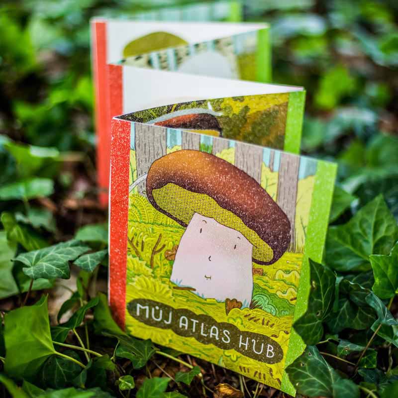 Workbook MY MUSHROOM CATALOG | PIPASIK