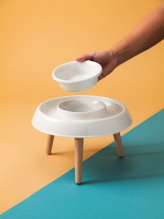 A dog and cat bowl | EATEE