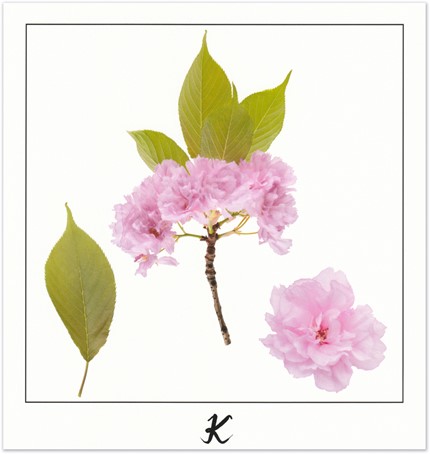 Print K - PICTURE POEM | JEAN-CLAUDE ETEGNOT