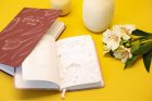 Notebooks and diaries
