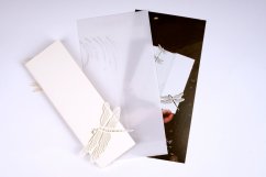Greeting card DRAGONFLY | PORIGAMI