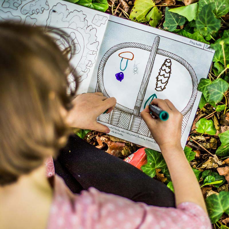Workbook MY MUSHROOM CATALOG | PIPASIK