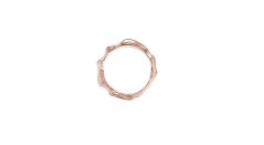 Ring  IMMUNITY | MARIA KOBELOVÁ
