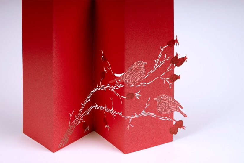 Greeting card ROSE HIP and BIRDS | PORIGAMI