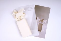 Papírové přání KŮŇ | PORIGAMI