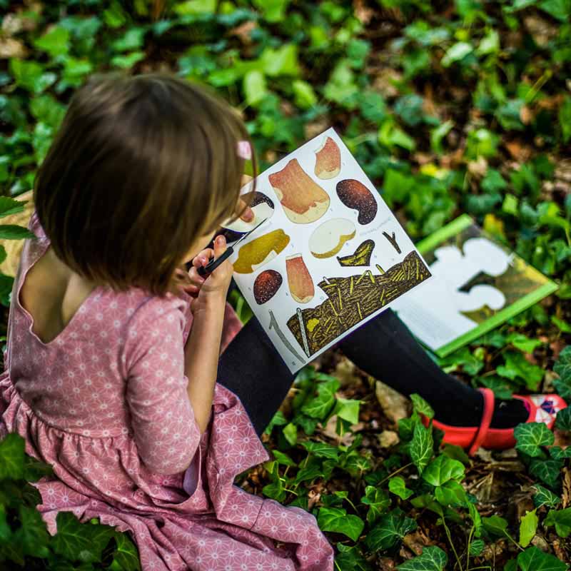 Workbook MY MUSHROOM CATALOG | PIPASIK