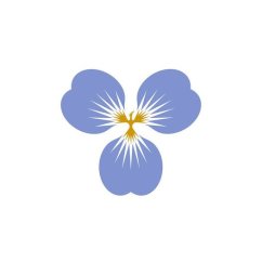 Greeting card Flower - Fénix 1 | MAKEEVA