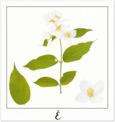 Print Ě - PICTURE POEM | JEAN-CLAUDE ETEGNOT