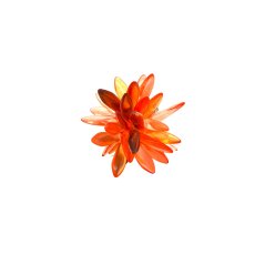 Ring ASTRA | RENATA BACHMANN