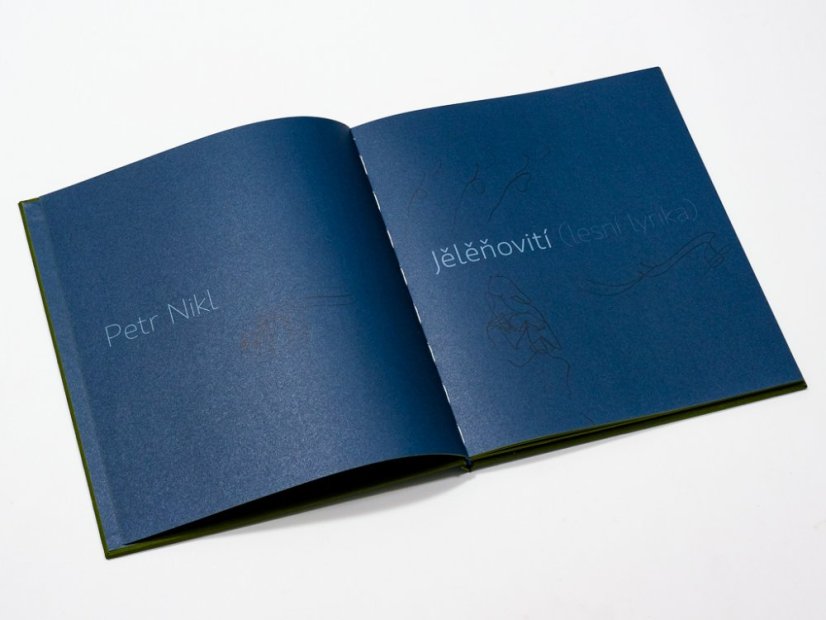Book DEER | MEANDER