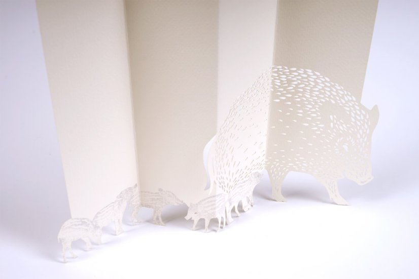 Greeting card BOAR | PORIGAM