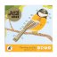 Notebook MEET THE BIRDS | PIPASIK