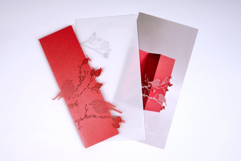 Greeting card ROSE HIP and BIRDS | PORIGAMI