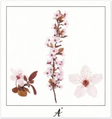 Print Á - PICTURE POEM | JEAN-CLAUDE ETEGNOT