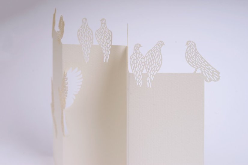 Papírové přání HOLUBICE | PORIGAMI