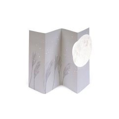 Greeting card FOOL MOON | PORIGAMI
