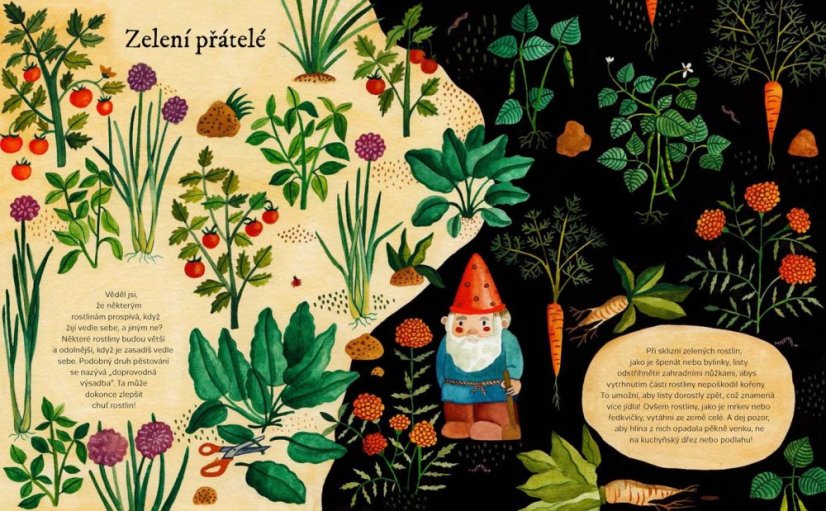 Kniha RUCE V HLÍNĚ