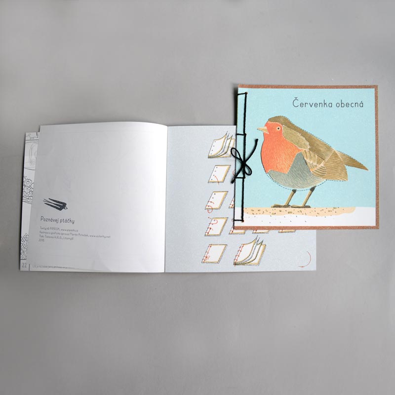 Notebook MEET THE BIRDS | PIPASIK
