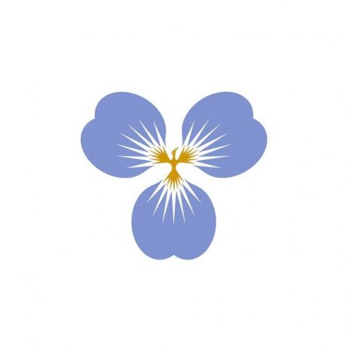 Greeting card Flower - Fénix 1 | MAKEEVA