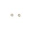 Earrings SHELLS | RENATA BACHMANN