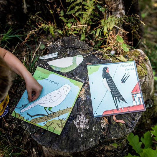 Notebook MEET THE BIRDS | PIPASIK