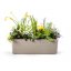 Self-watering flower box Berberis | PLASTIA