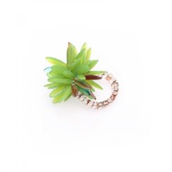 Ring ASTRA | RENATA BACHMANN