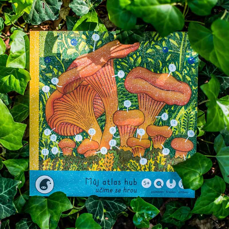 Workbook MY MUSHROOM CATALOG | PIPASIK