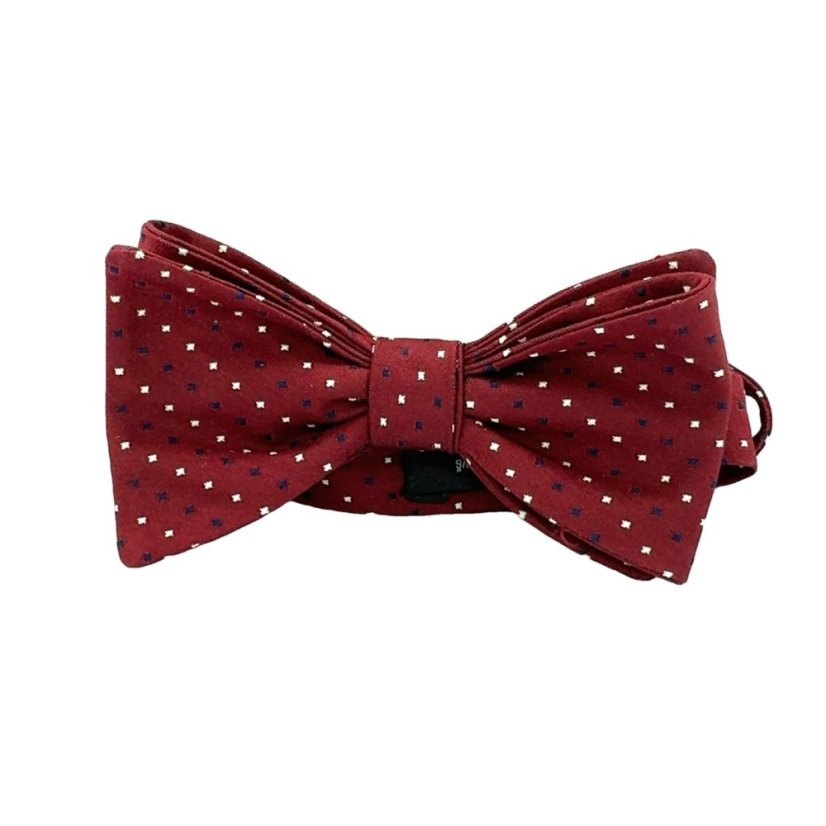 Motýlek pánský | ALEŠ RAMOVŠ