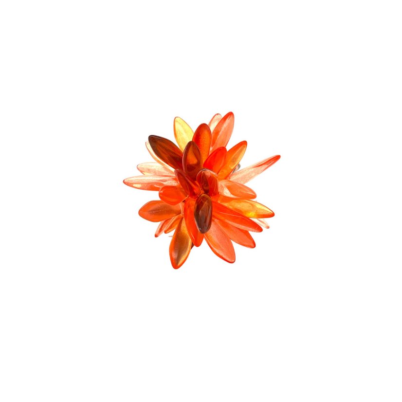 Ring ASTRA | RENATA BACHMANN