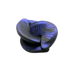 Brož LYRA | FERNANDO ECHEVERRIA