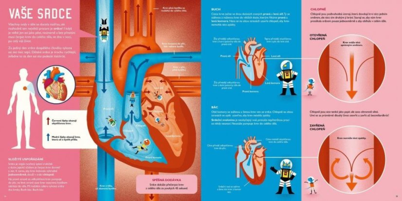 Book Prof. Astro Cat: CRISSCROSS THROUGH THE HUMAN BODY