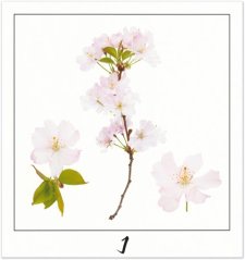 Print I - PICTURE POEM | JEAN-CLAUDE ETEGNOT