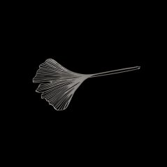Brooch GINGKO | MICHAELA GORCOVÁ