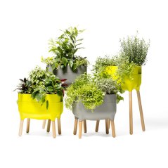 Flowerpot low growing container Urbalive | PLASTIA