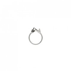 Ring AGAVE | BLUEBERRIES